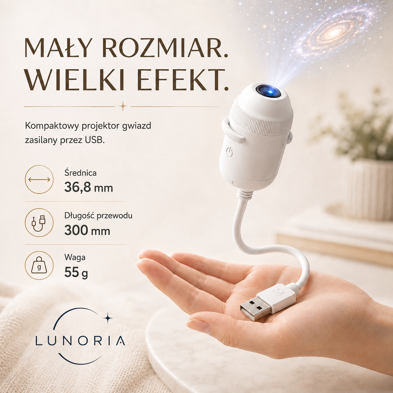 Lunoria - mały rozmiar, wielki efekt, wymiary produktu